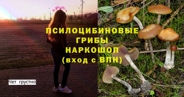 ешки Беломорск