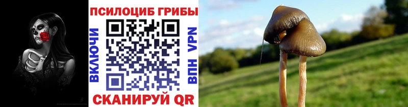 Псилоцибиновые грибы мухоморы  shop официальный сайт  Магас 